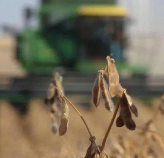 La CAO exige soluciones urgentes ante escasez de diésel que amenaza la cosecha de verano