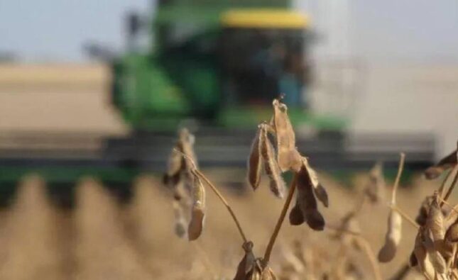 La CAO exige soluciones urgentes ante escasez de diésel que amenaza la cosecha de verano