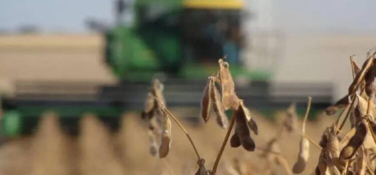 La CAO exige soluciones urgentes ante escasez de diésel que amenaza la cosecha de verano