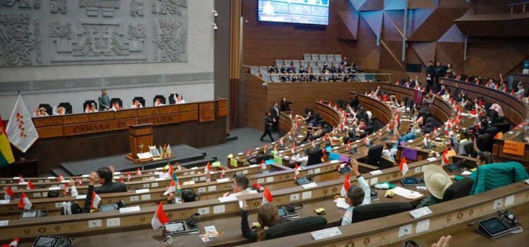 Diputados piden a Asamblea de La Paz corregir ternas para elegir vocales del Tribunal Electoral
