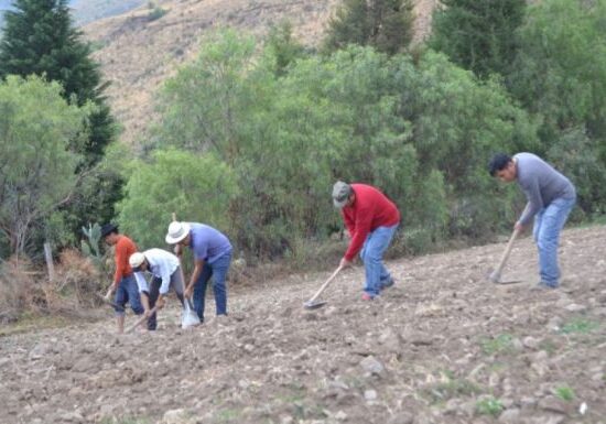 Campesinos critican falta de socialización y preparan protesta contra Ley 157