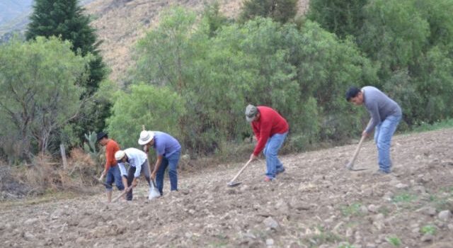 Campesinos critican falta de socialización y preparan protesta contra Ley 157