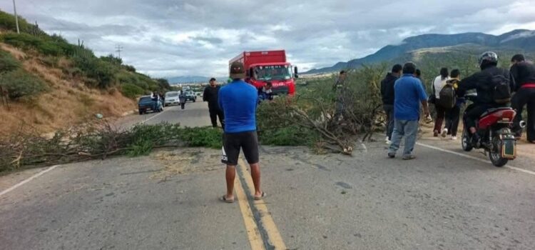 Paro indefinido en Tarija corta acceso a buses y camiones por demandas de carreteras y gasolina.