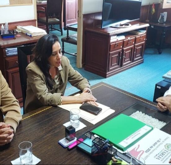 Vicegobernador electo Gonzalo Ávila lidera proceso de transición en Tarija