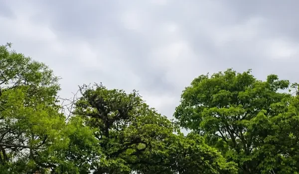 Senamhi pronostica tormentas eléctricas y lluvias para este miércoles en varias regiones de Bolivia