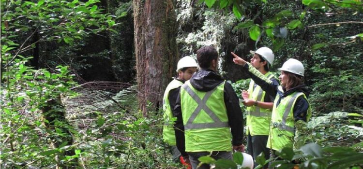 Decreto 5613 permite revertir concesiones forestales para dotación a comunidades campesinas e indígenas