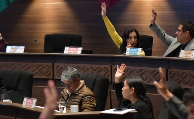 Senado rechaza suspensión de interpelación a ministro de Hidrocarburos y anuncia acciones penales contra jueces