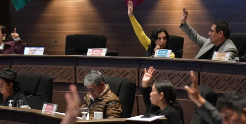 Senado rechaza suspensión de interpelación a ministro de Hidrocarburos y anuncia acciones penales contra jueces