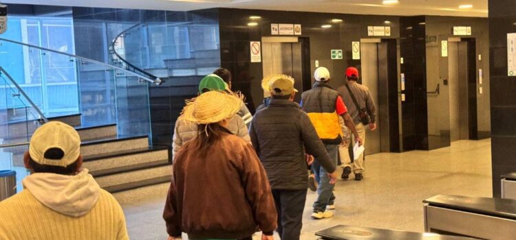 Diputada Helen Patiño solicita ingreso de comisión indígena de Pando y Beni a sesión de Diputados
