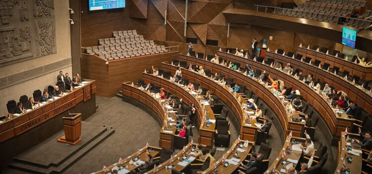 Cámara de Diputados vive maratónica sesión para analizar abrogación de la Ley 1720 en medio de protestas indígenas