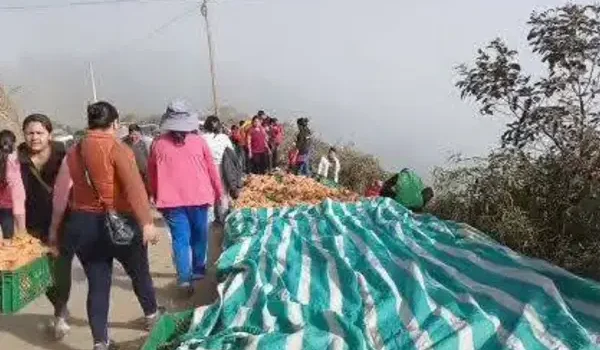 Camión frigorífico vuelca en Cerro Pata y vecinos colaboran para rescatar carga de pollo