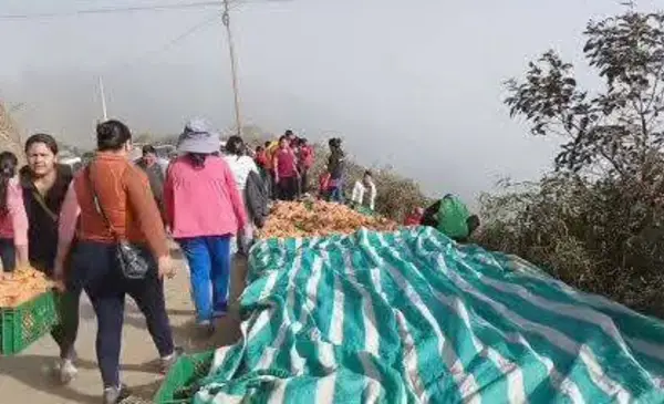 Camión frigorífico vuelca en Cerro Pata y vecinos colaboran para rescatar carga de pollo