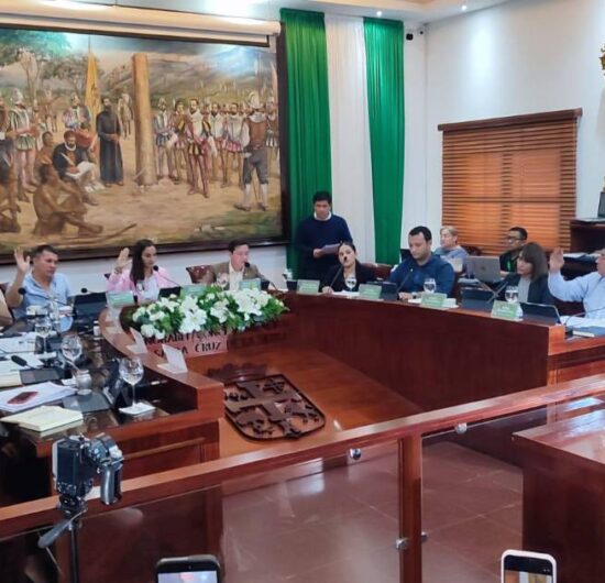 Concejo de Santa Cruz aprueba por unanimidad Ley de Dominio Municipal para caminos del Mutualista