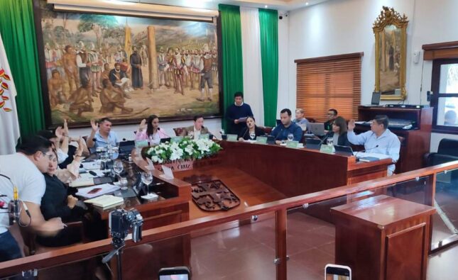 Concejo de Santa Cruz aprueba por unanimidad Ley de Dominio Municipal para caminos del Mutualista