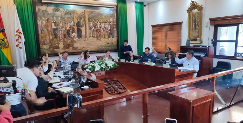 Concejo de Santa Cruz aprueba por unanimidad Ley de Dominio Municipal para caminos del Mutualista