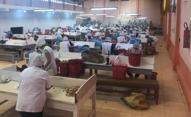 Cadexnor denuncia que bloqueos afectan insumos y exportaciones del sector castañero