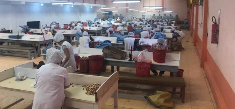Cadexnor denuncia que bloqueos afectan insumos y exportaciones del sector castañero