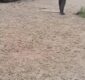 Dos muertos en Santa Fe tras presunto accidente protagonizado por policías antidrogas