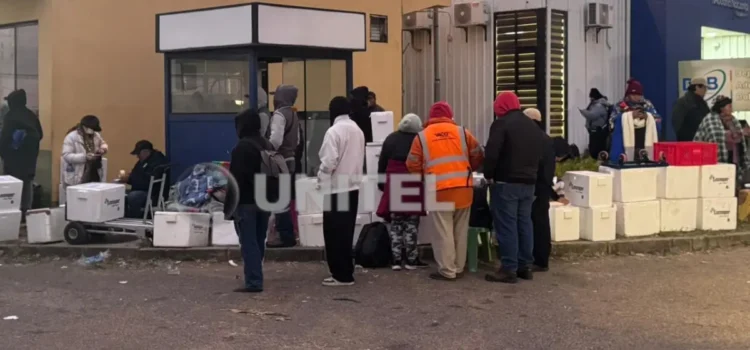 Nuevas normas de BoA establecen máximo de dos termos de alimentos por pasajero con peso de 32 kg cada uno
